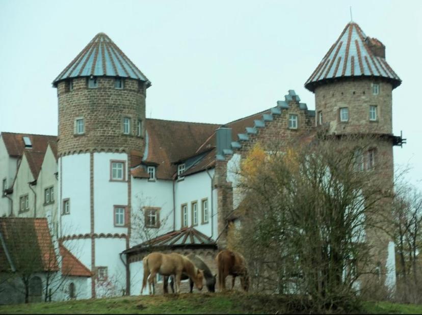 Luxus Appartement Im Schloss Fockelberg エクステリア 写真