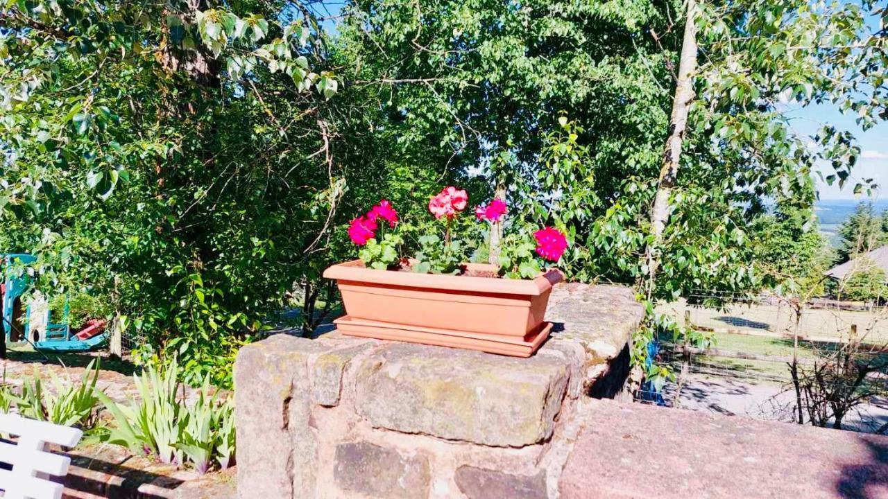 Luxus Appartement Im Schloss Fockelberg エクステリア 写真
